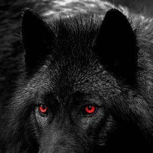 Meet your Posher, Christian